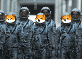 Fun Crypto GIF by Baby Doge Coin