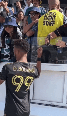 Mls GIF