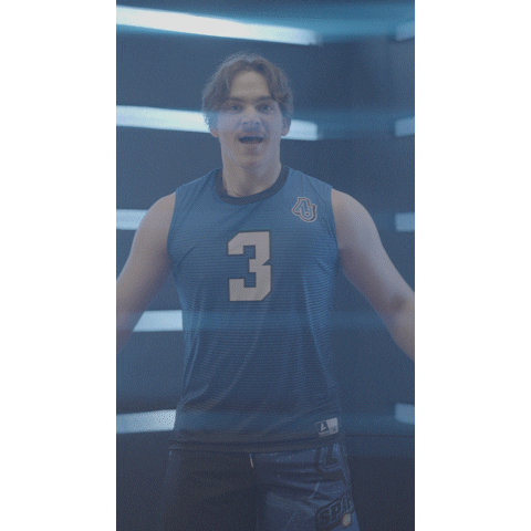Aumensvolleyball Sticker by Aurora University Men's Volleyball