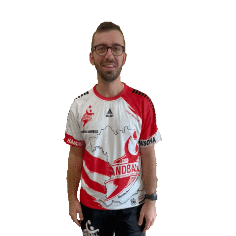 Handball-Schule Sticker