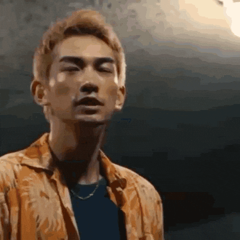 Its Over Dog Meme GIF