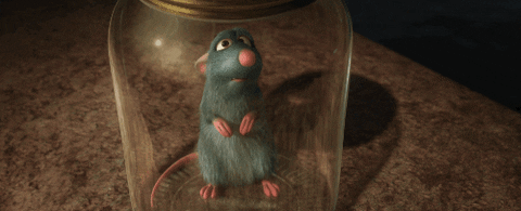 Hungry Ratatouille GIF by Disney Pixar - Find & Share on GIPHY