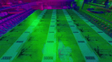 animation art GIF by DOMCAKE