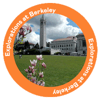 Precollege Sticker by EXPLO Summer