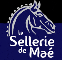 Selleriemae Mãe montpellier cheval cavalier GIF