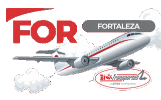 Aviao Sticker by Bio Transportes