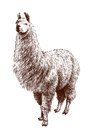 Beestig Jeugdwerk Gent Sticker