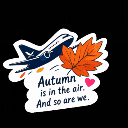 Flying Autumn Leaves GIF by Budapest Airport