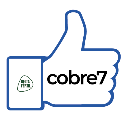 Curtida Cobre Sticker by Delta Fértil