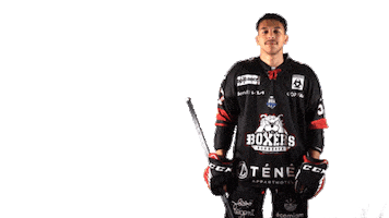 Ice Hockey Goal Sticker by Boxers de Bordeaux