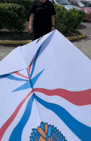 Airplane Paper GIF by Assyrian Apparel