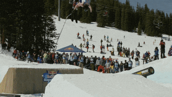 ski fail GIF by Red Bull