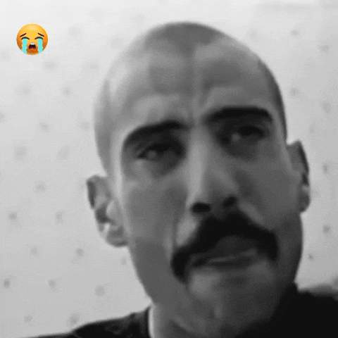 Morocco Algeria GIF