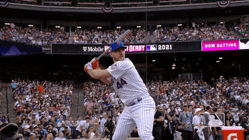 Major League Baseball Sport GIF by MLB