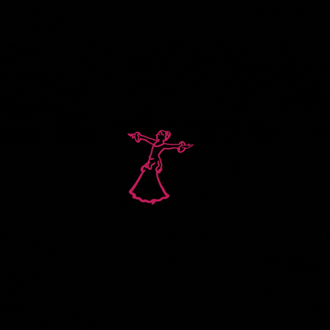 FlamenkFit GIF