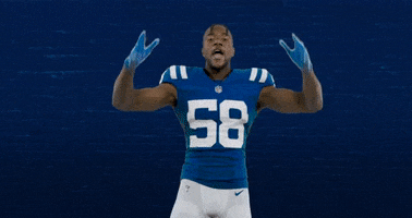 Lets Go Make Noise GIF by Indianapolis Colts