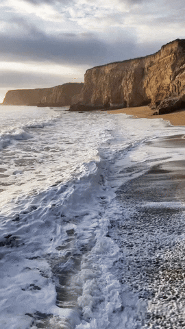 Ocean Sea GIF by Yevbel
