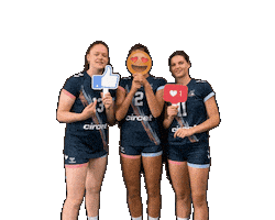 Volleyball Love Sticker by Neptunes_VolleyBall