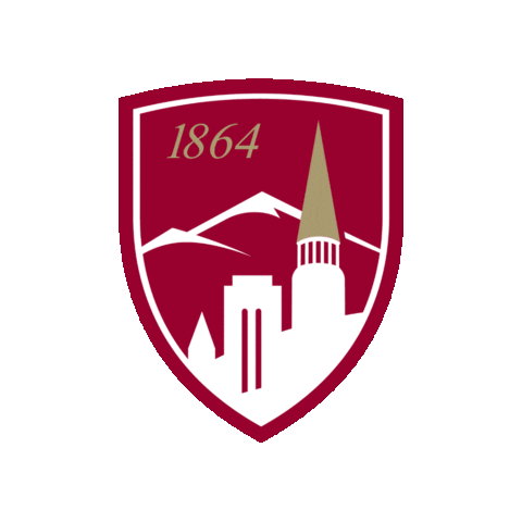 DU Advancement Sticker