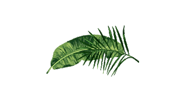 Ngahere Sticker by Konei