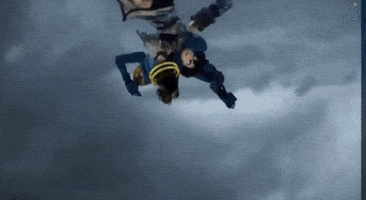 Fight GIF