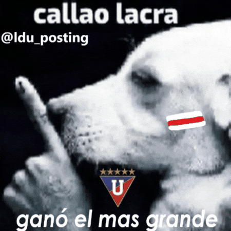 Liga De Quito GIF