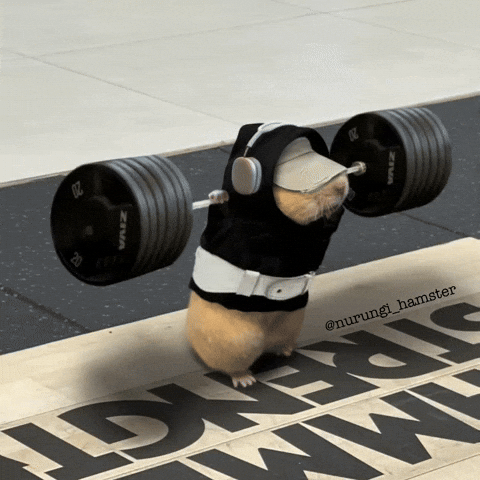 Workout Gym GIF