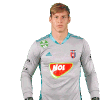 Football Vidi Sticker by MOL Fehérvár FC