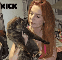 Cat Streaming GIF by Theleaway