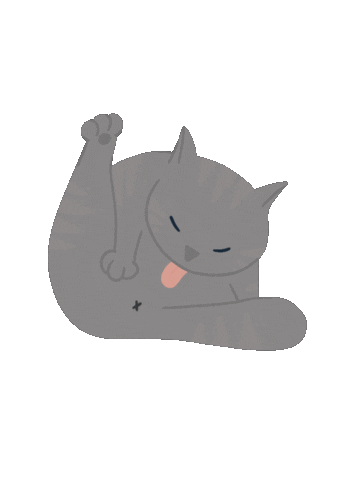 Cat Sticker