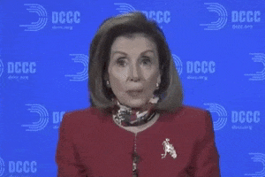 Nancy Pelosi GIF by Election 2020