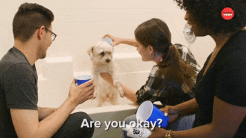Dogs Are You Okay GIF by BuzzFeed