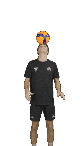 Deutschland Sticker by Volleyball Bundesliga