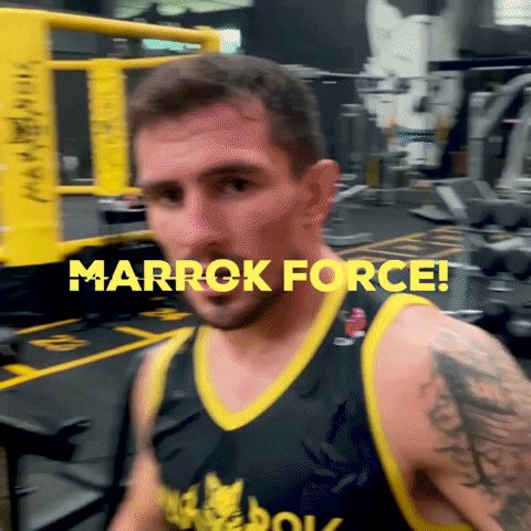 Knockout Mma GIF by Marrok Group