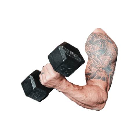 Working Out Sticker by Charcurtis