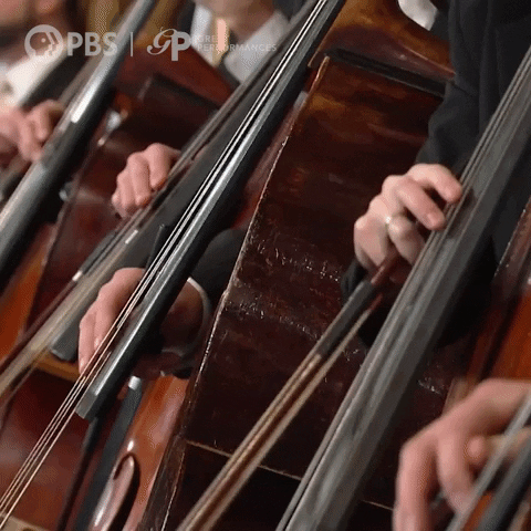 New Years Vienna GIF by GREAT PERFORMANCES | PBS