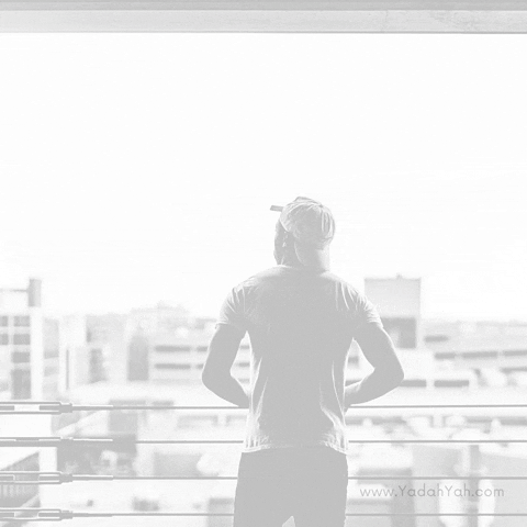 Choices GIF