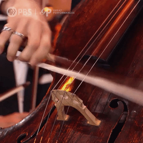 Classical Music Musician GIF by GREAT PERFORMANCES | PBS
