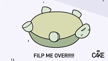 In Distress Turtle GIF by Cake FX