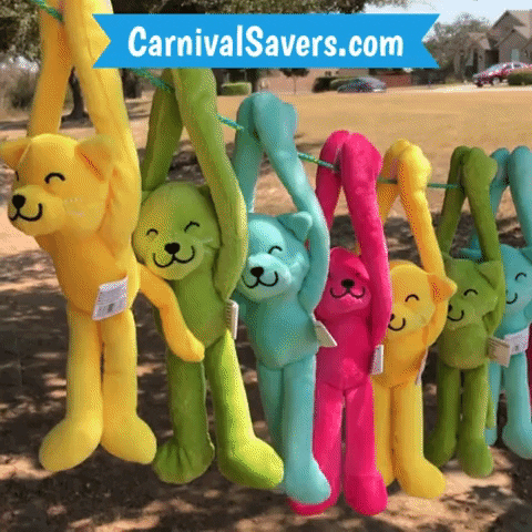 CarnivalSavers carnival savers carnivalsaverscom carnival prizes stuffed animal cats GIF