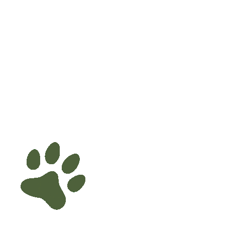 Paws Supergreen Sticker by KUNKAY