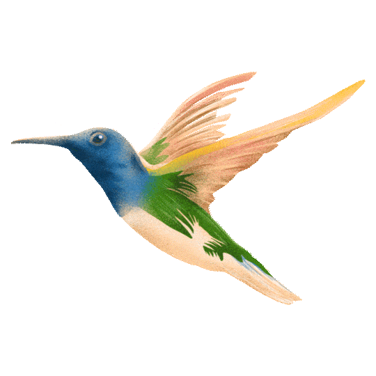 Rede Gazeta Sticker