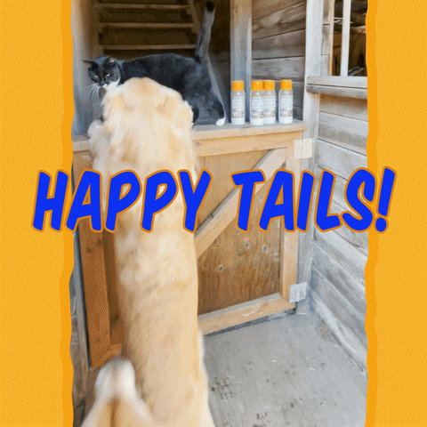 On Golden Rescue GIF