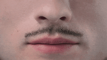 mustache GIF