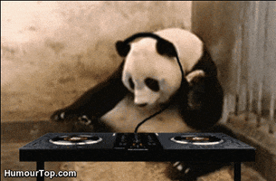 baby panda lol GIF