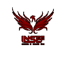 colegio INSEF Sticker