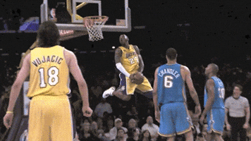 kobe bryant 24 black mamba
