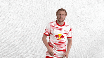 Come On Wtf GIF by RB Leipzig