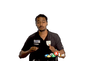 Handball Laola1 Sticker by Sportradar