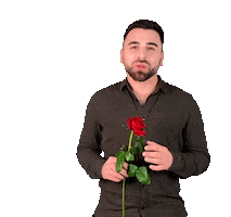 Поздравляю For You Sticker by Georgiy Kot